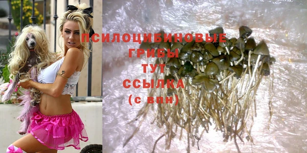 каннабис Алзамай