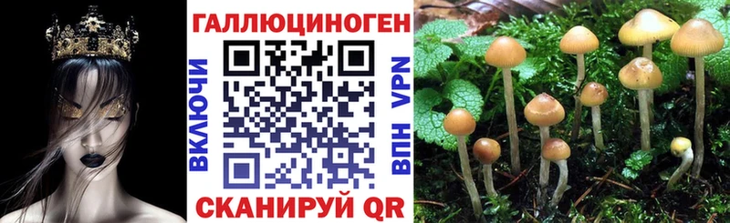 Псилоцибиновые грибы GOLDEN TEACHER  магазин продажи   Мамоново 